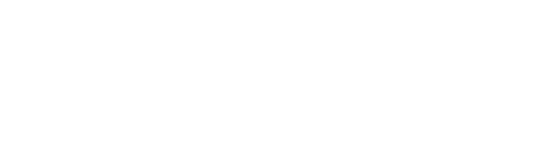 Staufenbiel Institut